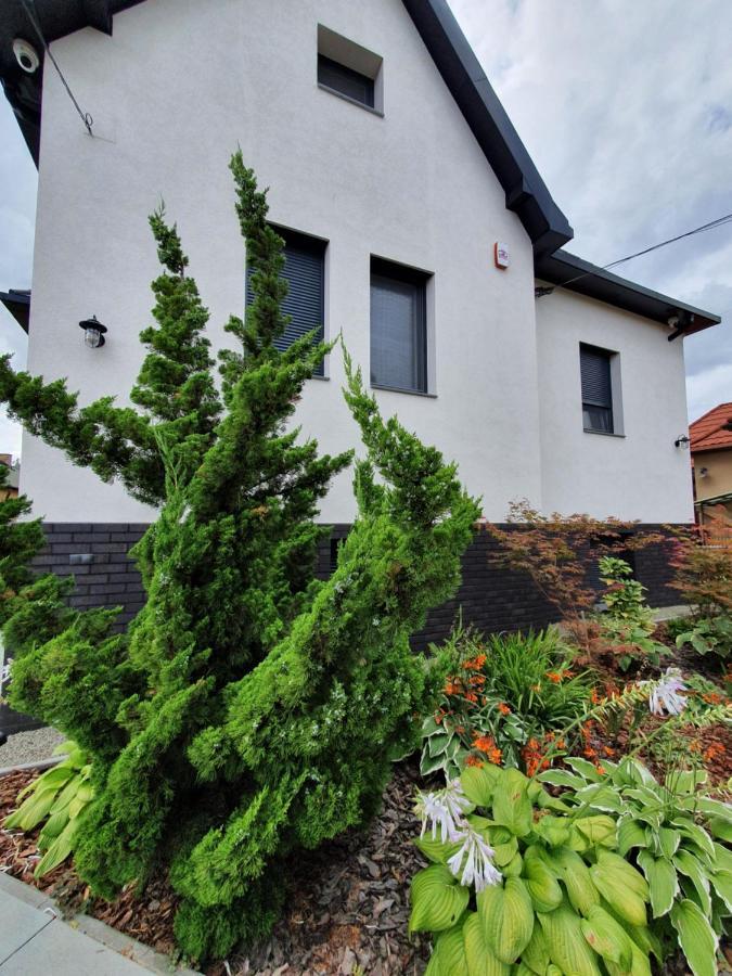 Tweed House Villa Budapest Exteriör bild
